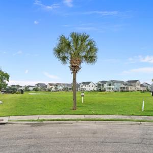 View of green lawn with a residential view