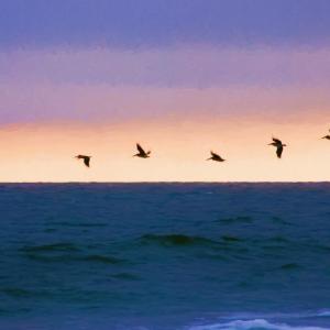 Photo #33 of Lot 1-A Brace Dr., Pawleys Island, SC 1.6 acres