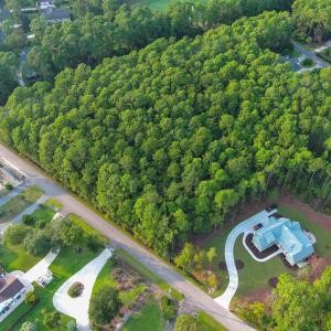 View of property location with a forest
