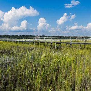 Photo #28 of Lot 1-A Brace Dr., Pawleys Island, SC 1.6 acres