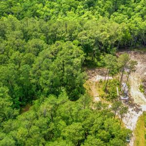 View of property location with a heavily wooded ar