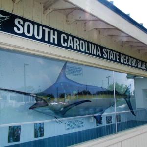 Photo #25 of 58 Pineberry Dr., Georgetown, SC 0.2 acres