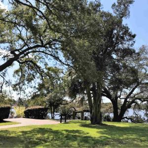 Photo #27 of 58 Pineberry Dr., Georgetown, SC 0.2 acres