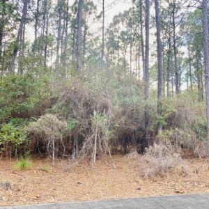 Photo #19 of 58 Pineberry Dr., Georgetown, SC 0.2 acres