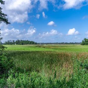 Photo #9 of 58 Pineberry Dr., Georgetown, SC 0.2 acres