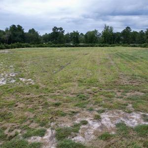 Photo #11 of 547 Hodges Rd., Kingstree, SC 9.3 acres