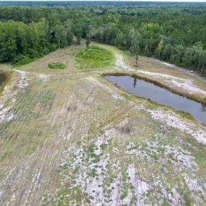Photo #8 of 547 Hodges Rd., Kingstree, SC 9.3 acres