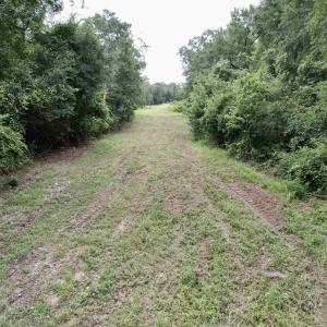 Photo #14 of 547 Hodges Rd., Kingstree, SC 9.3 acres