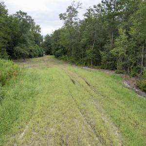 Photo #9 of 547 Hodges Rd., Kingstree, SC 9.3 acres