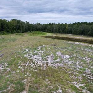 Photo #10 of 547 Hodges Rd., Kingstree, SC 9.3 acres