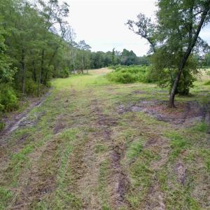 Photo #15 of 547 Hodges Rd., Kingstree, SC 9.3 acres