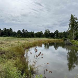 Photo #12 of 547 Hodges Rd., Kingstree, SC 9.3 acres