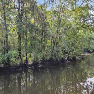 Photo #8 of lot 15 Nautilus Dr., Murrells Inlet, SC 1.7 acres