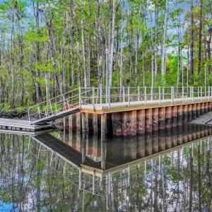 Photo #23 of lot 15 Nautilus Dr., Murrells Inlet, SC 1.7 acres