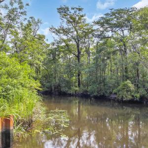 Photo #22 of lot 15 Nautilus Dr., Murrells Inlet, SC 1.7 acres