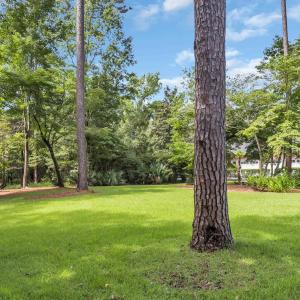 Photo #5 of lot 15 Nautilus Dr., Murrells Inlet, SC 1.7 acres