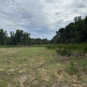 View of wooded area featuring a view of rural / pa