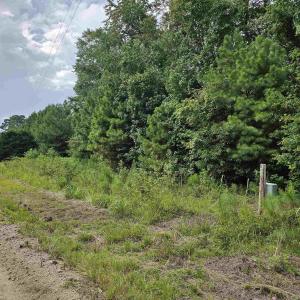 Photo #6 of TBD Powell Lane, Loris, SC 2.7 acres