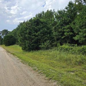 Photo #4 of TBD Powell Lane, Loris, SC 2.7 acres