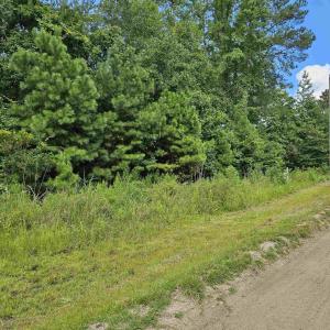 Photo #5 of TBD 9 & 10 Powell Lane, Loris, SC 2.7 acres