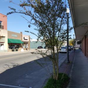 Photo #11 of TBD 9 & 10 Powell Lane, Loris, SC 2.7 acres
