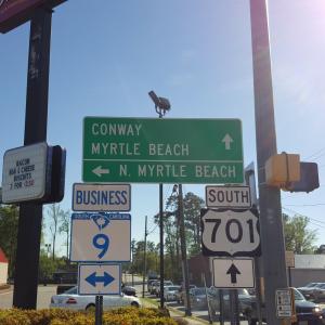 Photo #10 of TBD 9 & 10 Powell Lane, Loris, SC 2.7 acres