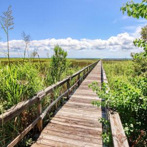 Photo #7 of Lot 45 Oak Bay Dr., Georgetown, SC 0.2 acres
