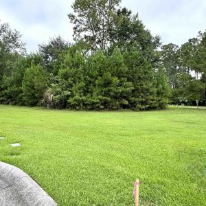 View of grassy yard with view of scattered trees