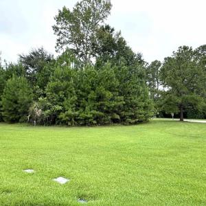 View of green lawn featuring view of wooded area