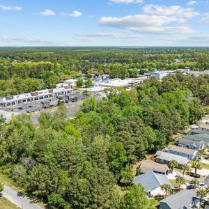 Bird's eye view of a forest