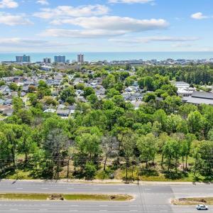 Drone / aerial view of a tree filled landscape