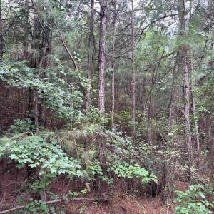 Photo #1 of Lot 5-D McGregor St., Lake City, SC 0.2 acres