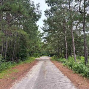 Photo #5 of Lot 10-D McGregor St., Lake City, SC 0.2 acres