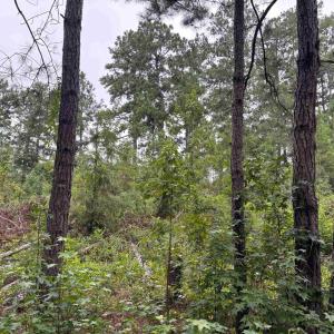Photo #1 of Lot 11-D McGregor St., Lake City, SC 0.2 acres