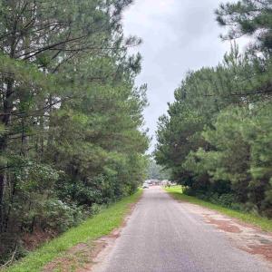 Photo #4 of Lot 11-D McGregor St., Lake City, SC 0.2 acres