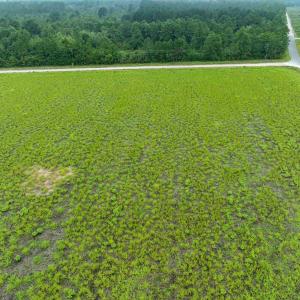 Aerial view of a heavily wooded area