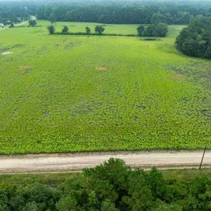 Aerial view of sparsely populated area