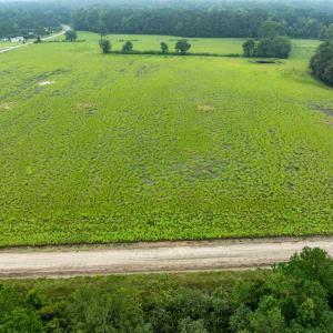 Overview of rural landscape