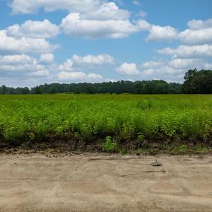 View of nature featuring rural landscape