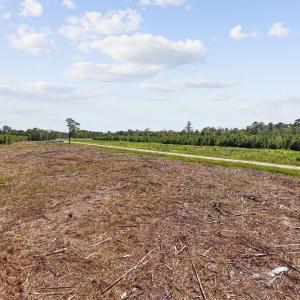 Photo #16 of Multiple Lots Black Creek Rd., Nichols, SC 6.7 acres