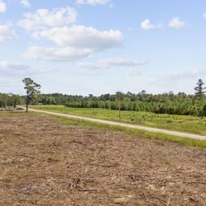 Photo #15 of Multiple Lots Black Creek Rd., Nichols, SC 6.7 acres