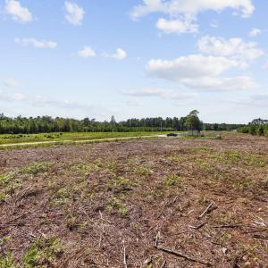 Photo #17 of Multiple Lots Black Creek Rd., Nichols, SC 6.7 acres