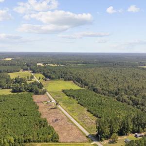 Photo #8 of Multiple Lots Black Creek Rd., Nichols, SC 6.7 acres