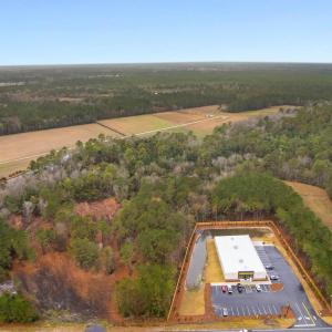 Drone / aerial view of a forest