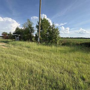 View of nature featuring rural landscape