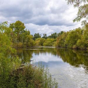 Water view with a heavily wooded area