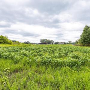 View of undeveloped land featuring rural landscape