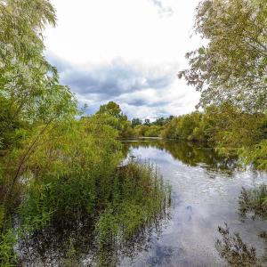 Water view featuring a heavily wooded area