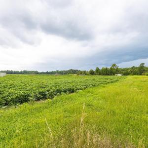 View of undeveloped land with rural landscape