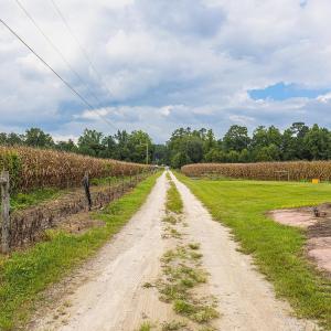 View of dirt / gravel road with a rural view